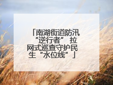 南湖街道防汛“逆行者” 拉网式巡查守护民生“水位线”