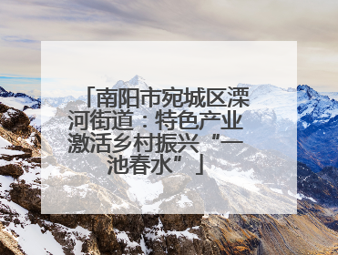 南阳市宛城区溧河街道：特色产业激活乡村振兴“一池春水”