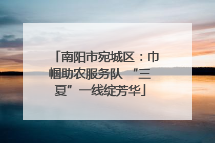 南阳市宛城区：巾帼助农服务队 “三夏”一线绽芳华