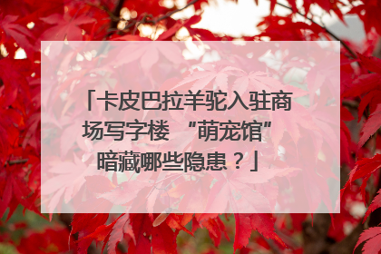 卡皮巴拉羊驼入驻商场写字楼 “萌宠馆”暗藏哪些隐患？