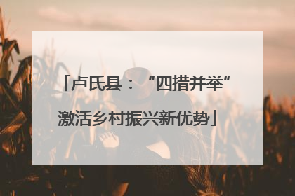 卢氏县：“四措并举”激活乡村振兴新优势