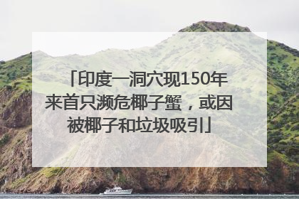 印度一洞穴现150年来首只濒危椰子蟹，或因被椰子和垃圾吸引