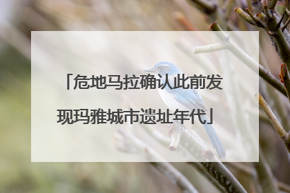 危地马拉确认此前发现玛雅城市遗址年代