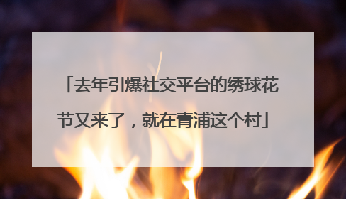 去年引爆社交平台的绣球花节又来了，就在青浦这个村