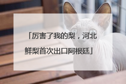 厉害了我的梨，河北鲜梨首次出口阿根廷