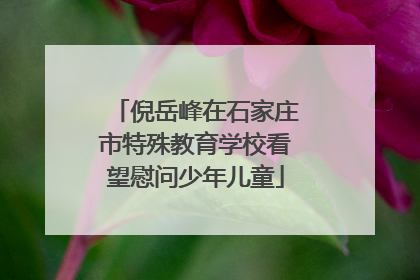 倪岳峰在石家庄市特殊教育学校看望慰问少年儿童