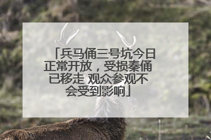 兵马俑三号坑今日正常开放，受损秦俑已移走 观众参观不会受到影响