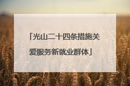 光山二十四条措施关爱服务新就业群体
