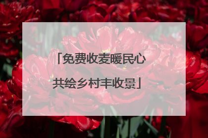 免费收麦暖民心 共绘乡村丰收景
