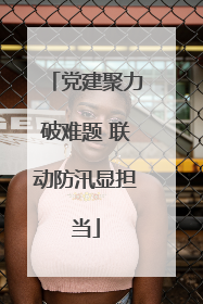 党建聚力破难题 联动防汛显担当