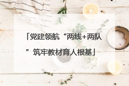 党建领航“两线+两队”筑牢教材育人根基
