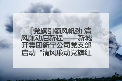 党旗引领风帆劲 清风廉动启新程——新城开集团新宇公司党支部启动“清风廉动党旗红”系列活动