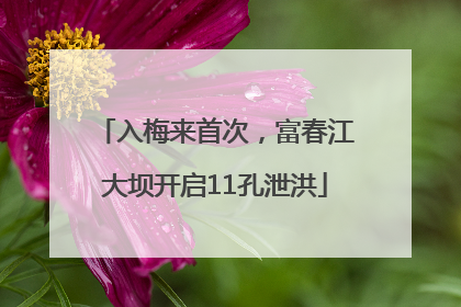 入梅来首次，富春江大坝开启11孔泄洪