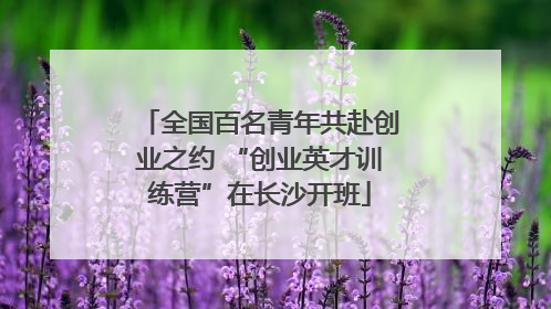 全国百名青年共赴创业之约 “创业英才训练营”在长沙开班