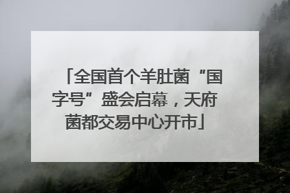 全国首个羊肚菌“国字号”盛会启幕，天府菌都交易中心开市