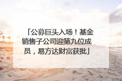 公募巨头入场！基金销售子公司迎第九位成员，易方达财富获批
