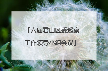 六届君山区委巡察工作领导小组会议