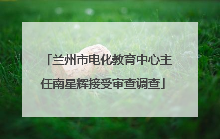 兰州市电化教育中心主任南星辉接受审查调查