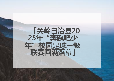关岭自治县2025年“奔跑吧少年”校园足球三级联赛圆满落幕