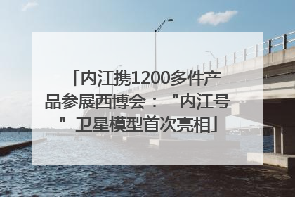 内江携1200多件产品参展西博会：“内江号”卫星模型首次亮相