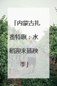 内蒙古扎赉特旗：水稻迎来插秧季