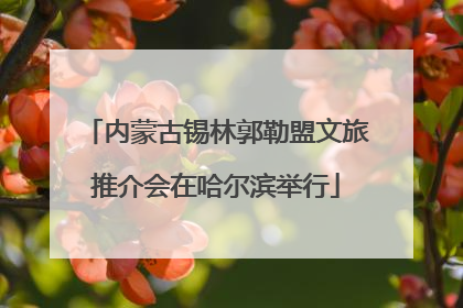 内蒙古锡林郭勒盟文旅推介会在哈尔滨举行