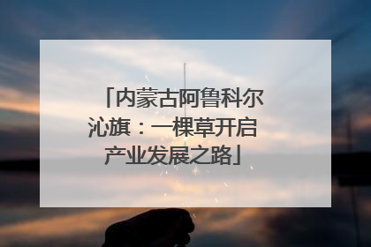内蒙古阿鲁科尔沁旗：一棵草开启产业发展之路