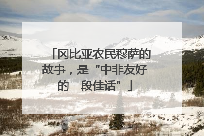 冈比亚农民穆萨的故事，是“中非友好的一段佳话”