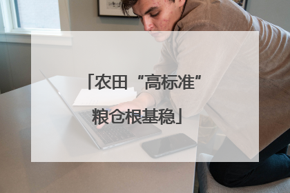 农田“高标准” 粮仓根基稳
