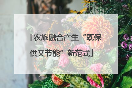 农旅融合产生“既保供又节能”新范式