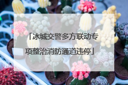 冰城交警多方联动专项整治消防通道违停