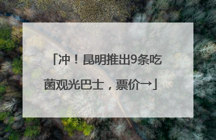 冲！昆明推出9条吃菌观光巴士，票价→