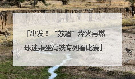 出发！“苏超”烽火再燃 球迷乘坐高铁专列看比赛