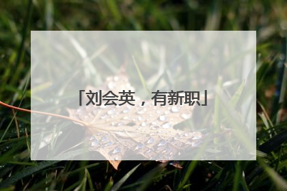 刘会英，有新职