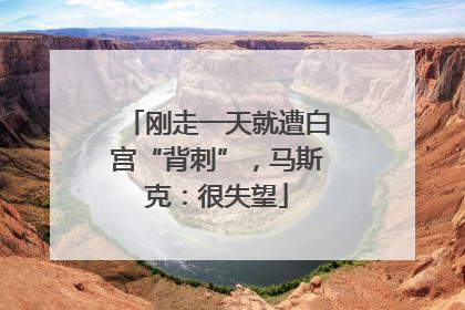 刚走一天就遭白宫“背刺”，马斯克：很失望