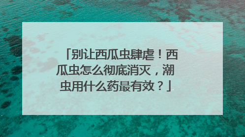 别让西瓜虫肆虐！西瓜虫怎么彻底消灭，潮虫用什么药最有效？