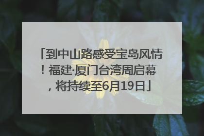 到中山路感受宝岛风情！福建·厦门台湾周启幕，将持续至6月19日