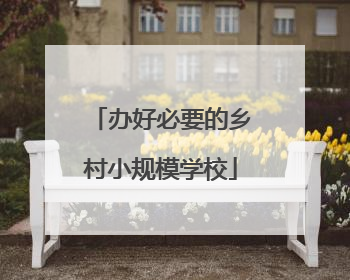 办好必要的乡村小规模学校