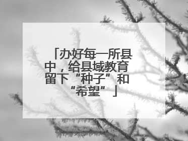 办好每一所县中，给县域教育留下“种子”和“希望”