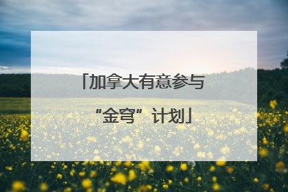 加拿大有意参与“金穹”计划