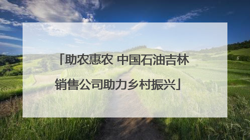 助农惠农 中国石油吉林销售公司助力乡村振兴
