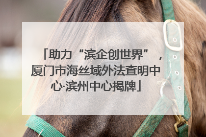 助力“滨企创世界”，厦门市海丝域外法查明中心·滨州中心揭牌