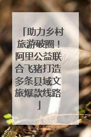 助力乡村旅游破圈！阿里公益联合飞猪打造多条县域文旅爆款线路