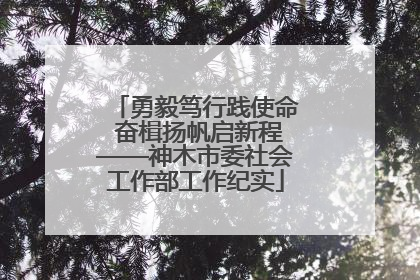 勇毅笃行践使命 奋楫扬帆启新程——神木市委社会工作部工作纪实