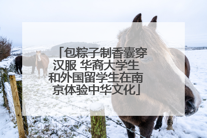 包粽子制香囊穿汉服 华裔大学生和外国留学生在南京体验中华文化