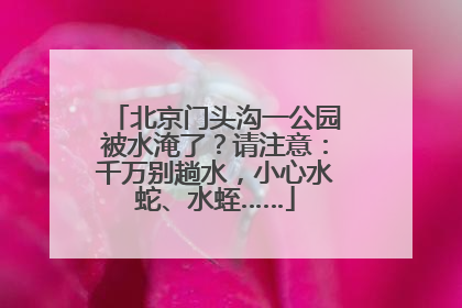 北京门头沟一公园被水淹了？请注意：千万别趟水，小心水蛇、水蛭……
