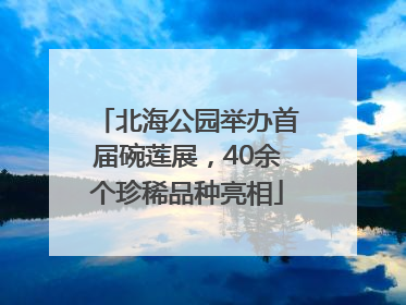 北海公园举办首届碗莲展，40余个珍稀品种亮相