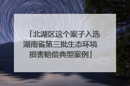 北湖区这个案子入选湖南省第三批生态环境损害赔偿典型案例