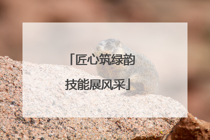 匠心筑绿韵 技能展风采