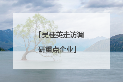 吴桂英走访调研重点企业
